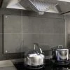 Kitchen Backsplash Transparent 100x50 Cm Tempered Glass
